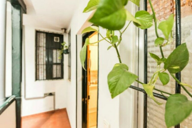 Apartamentos La Corrala de Salitre