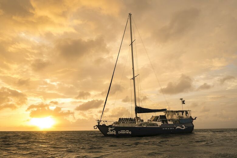 Coral Sea Dreaming Dive And Sail