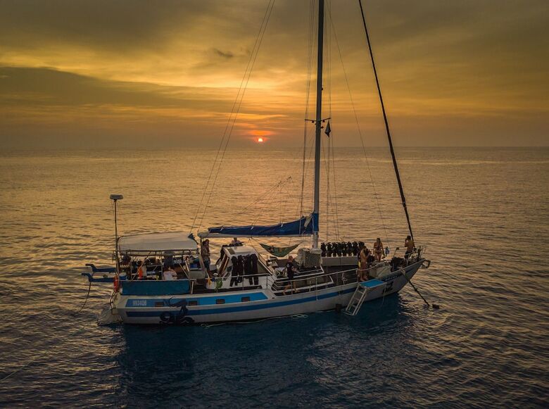 Coral Sea Dreaming Dive And Sail