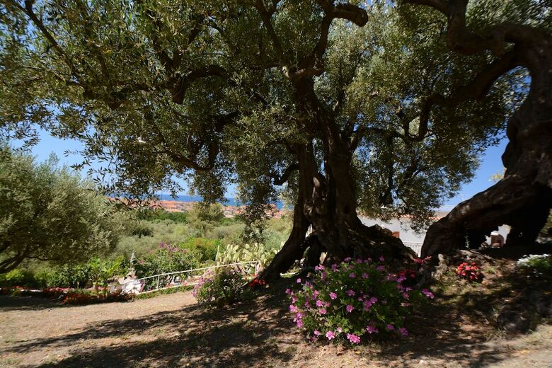 Bed & Breakfast Il Paradiso Di Hyele