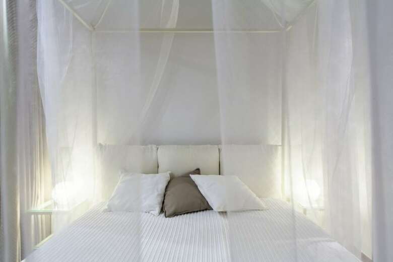 B&B Antico Ulivo