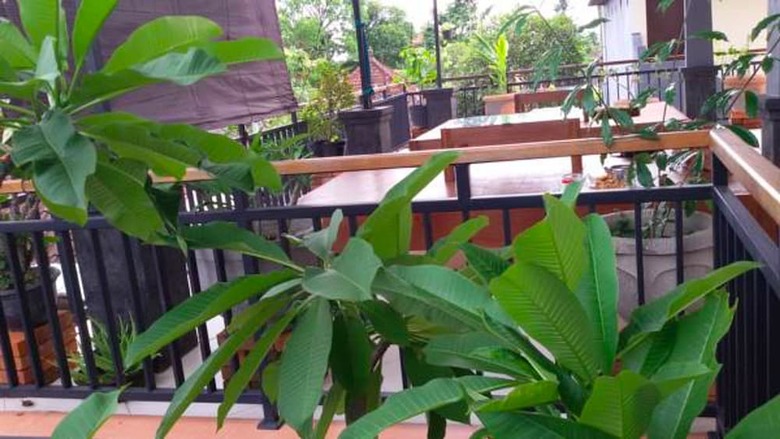 Hotel Anila Shanti