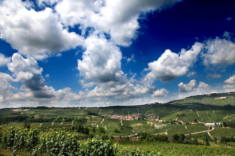 Hotel Albergo Castiglione Langhe