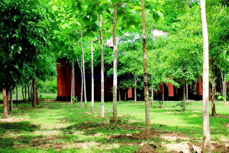 Hotel Lavish Eco Jungle