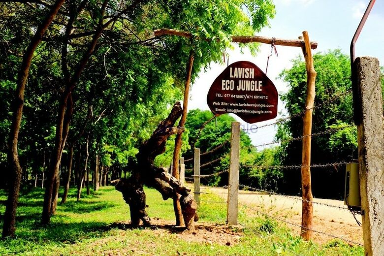 Hotel Lavish Eco Jungle