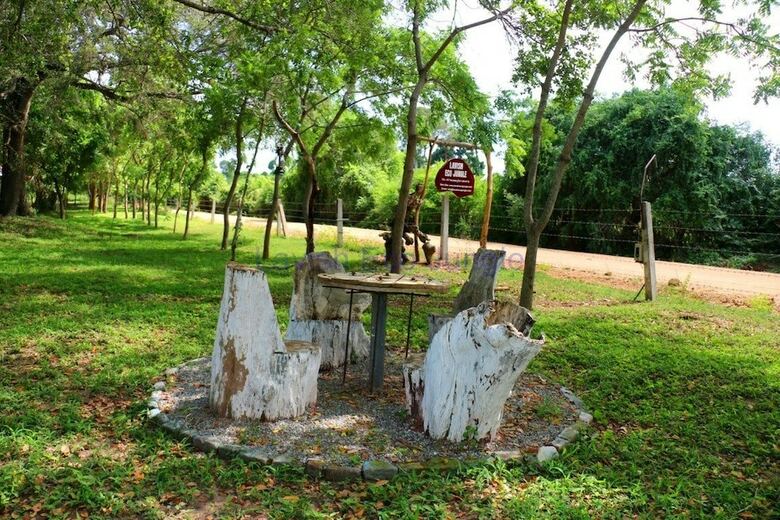 Hotel Lavish Eco Jungle