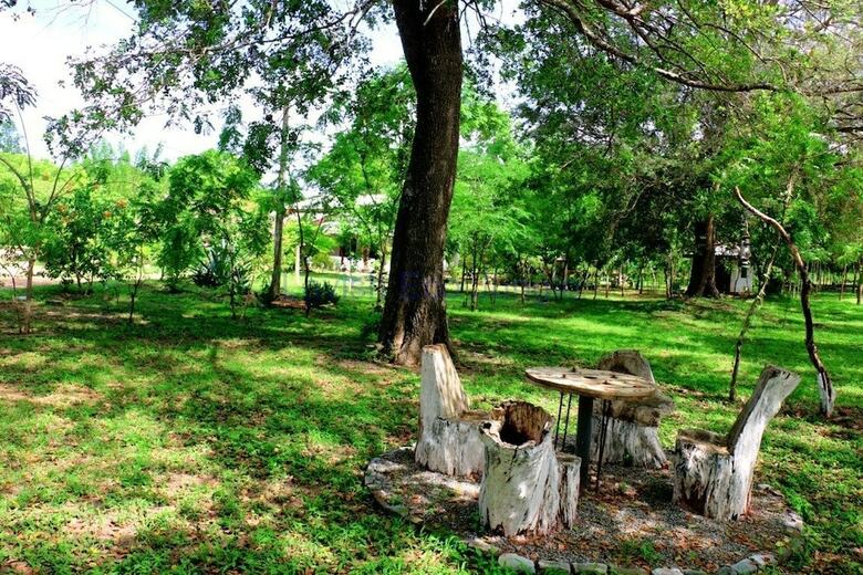 Hotel Lavish Eco Jungle