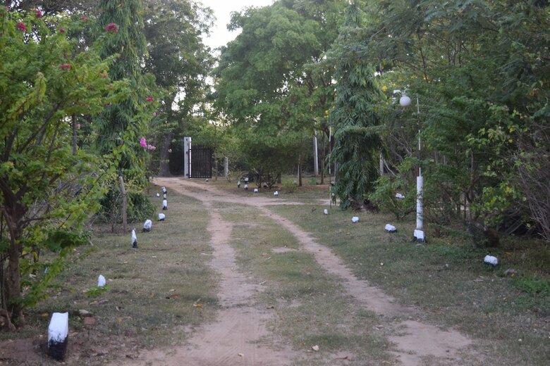 Hotel Lavish Eco Jungle