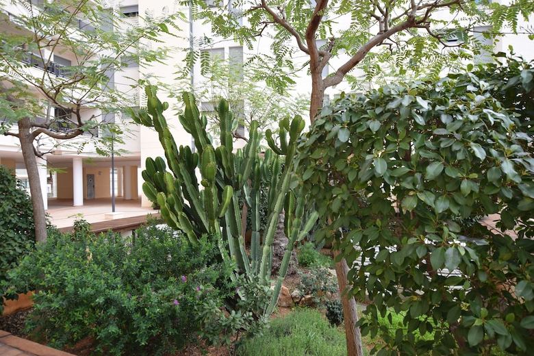 Apartamentos Plaza Mayor