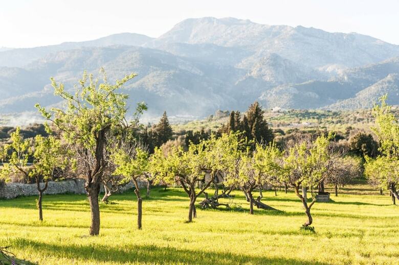 Villa Sa Vinyota de Can Piti