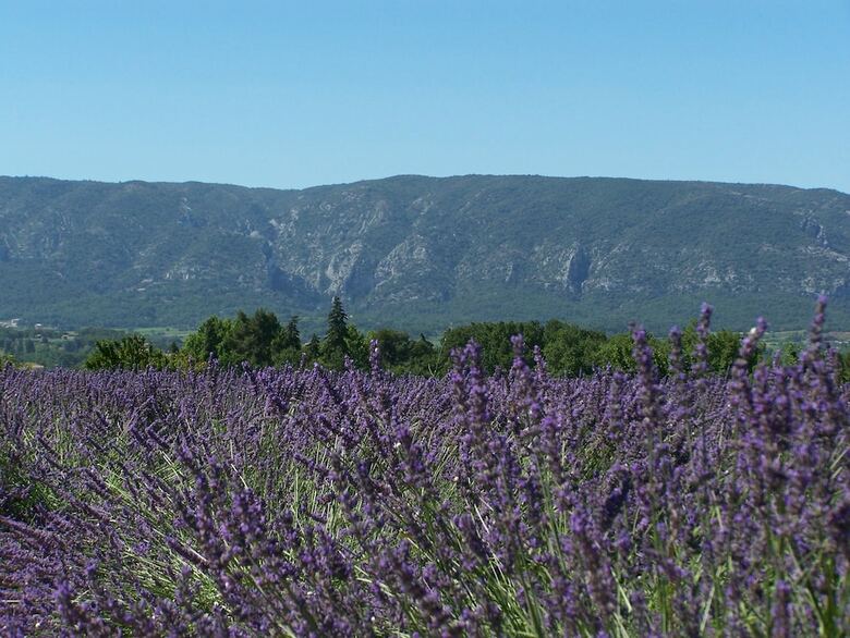Bed & Breakfast Le Verger