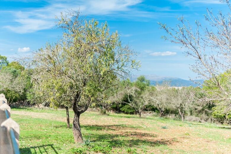 Villa Son Rossinyol