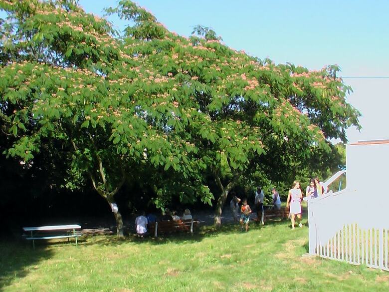 Camping Les Craoues