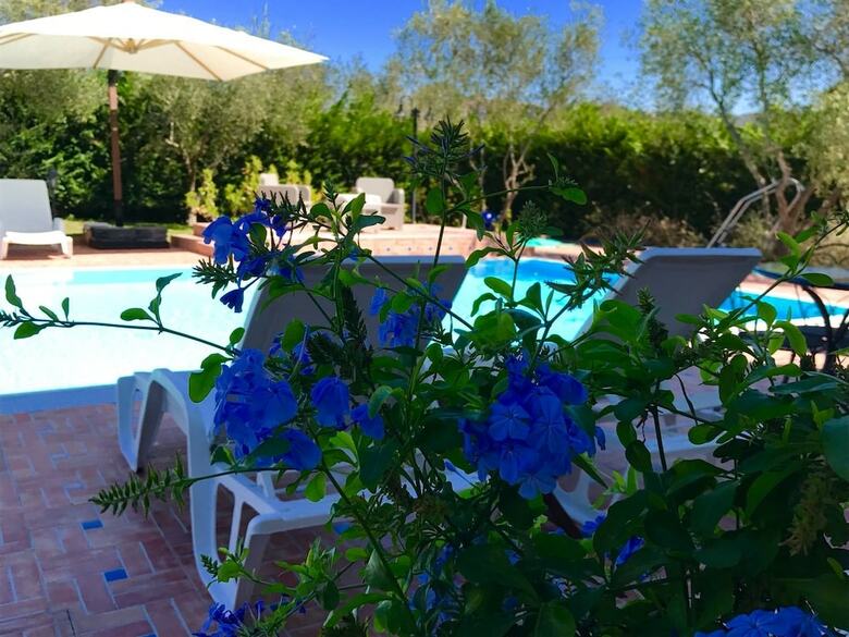 Bed & Breakfast Casa Vacanze Il Cenito