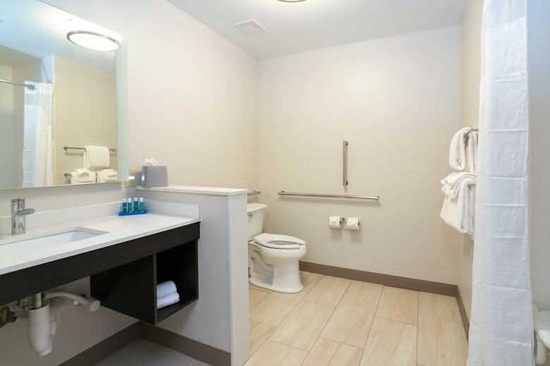 Hotel Holiday Inn Express & Suites Allen Park