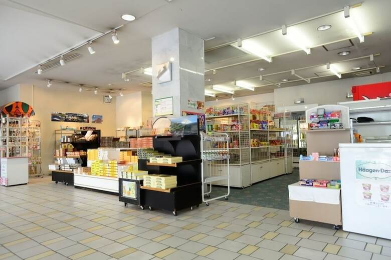 Hostal Guest House Fuji-hakone Land - Hostel