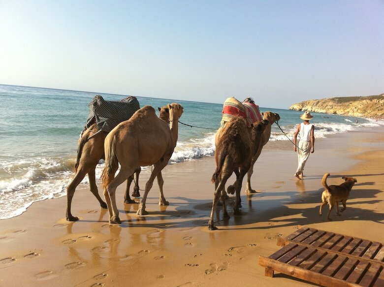 Apartamentos Asilah Marina Golf