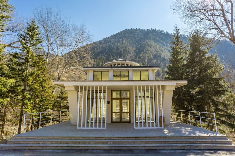 Hotel Borjomi Likani