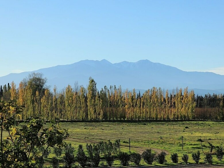 Bed & Breakfast Domaine Castell de Bl�s