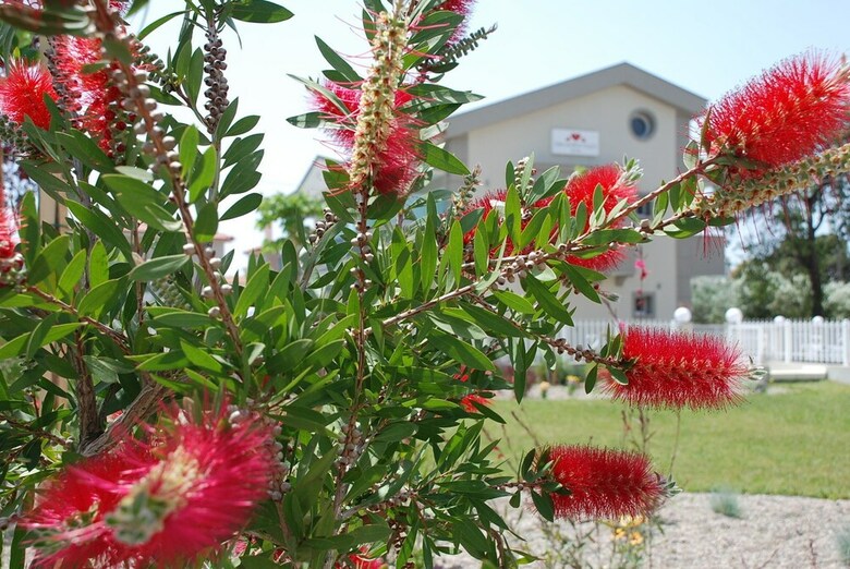 Aparthotel Dream Boutique Hotel