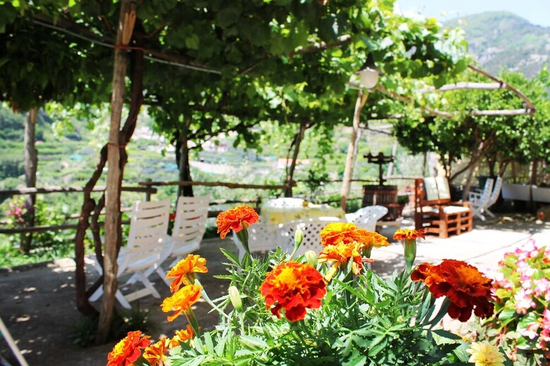 Apartamento Casale Dei Limoni
