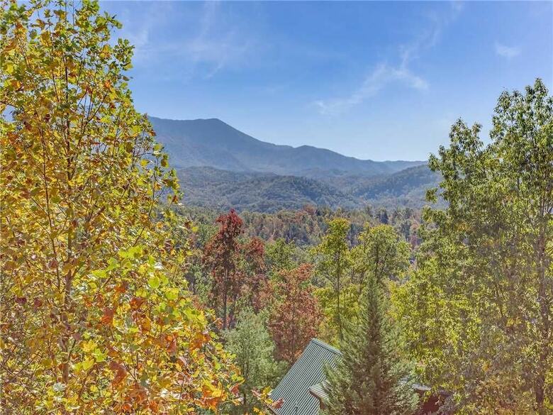 Cabana Bear Slide 4 Bedroom Home With Mountain View