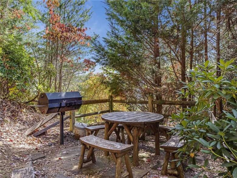 Cabana Bear Slide 4 Bedroom Home With Mountain View