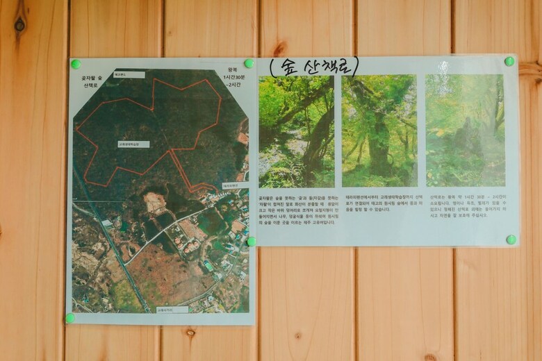 Pension Jeju Therapy