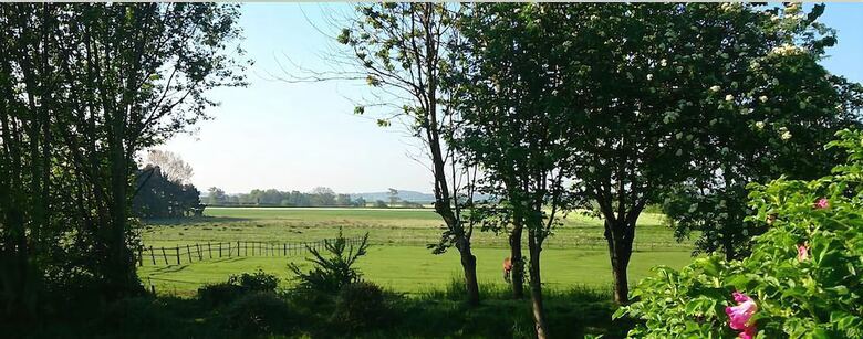 Hotel Elmfield House Bed And Breakfast