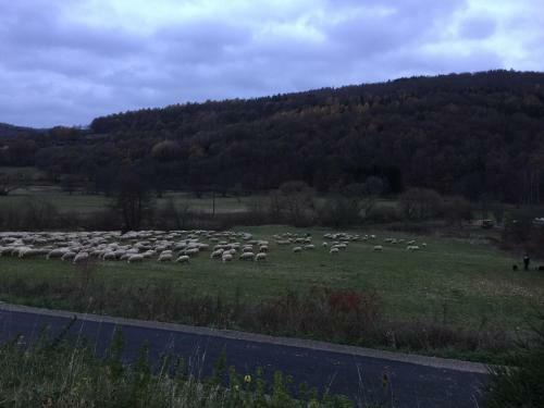 Landhotel Weisses Ross