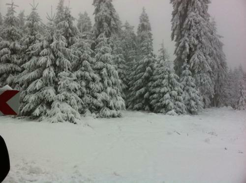 Land-hotel Am Wald Garni