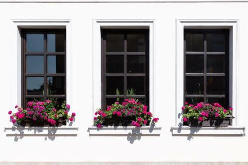 Hotel Haus Vorst