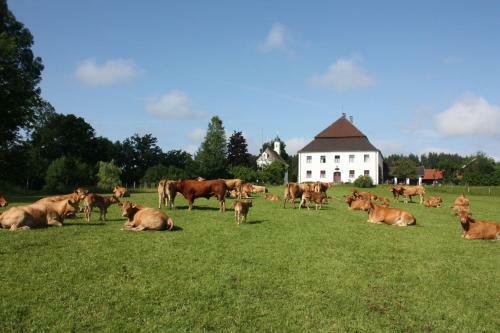 Agroturismo Gut Grasleiten