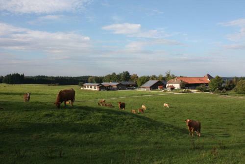 Agroturismo Gut Grasleiten