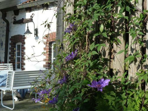 Apartamento G�stehaus Bei Veronica