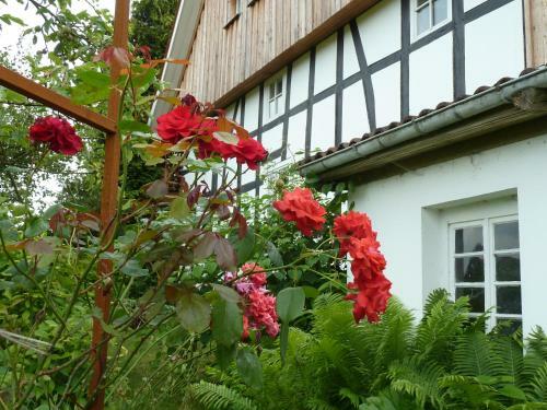 Apartamento G�stehaus Bei Veronica