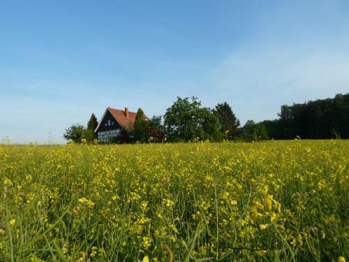 Apartamento G�stehaus Bei Veronica