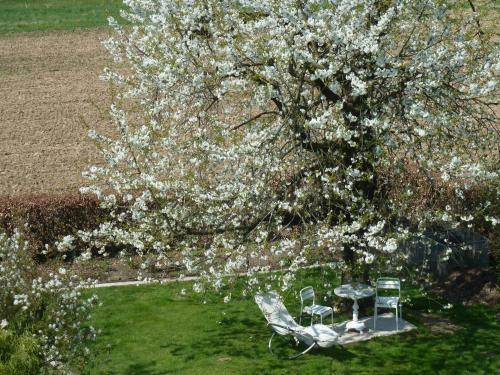 Apartamento G�stehaus Bei Veronica