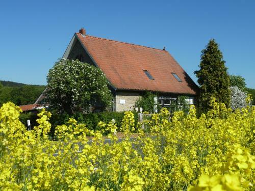 Apartamento G�stehaus Bei Veronica