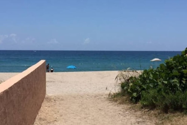 Aparthotel Designer Decorated Palm Beach Hotel New