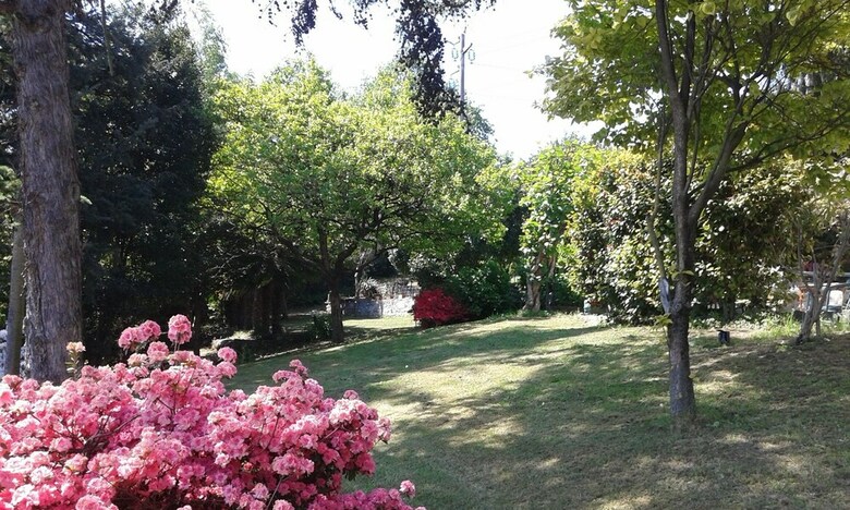 Bed & Breakfast Swanlake Rooms
