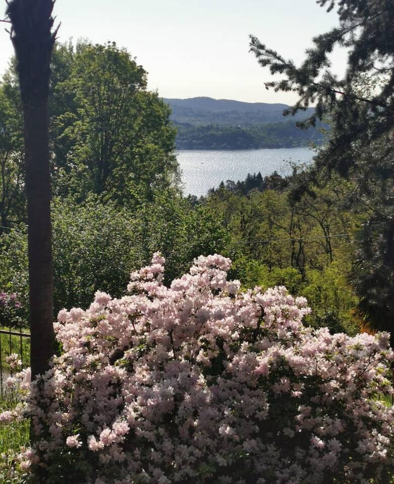 Bed & Breakfast Swanlake Rooms