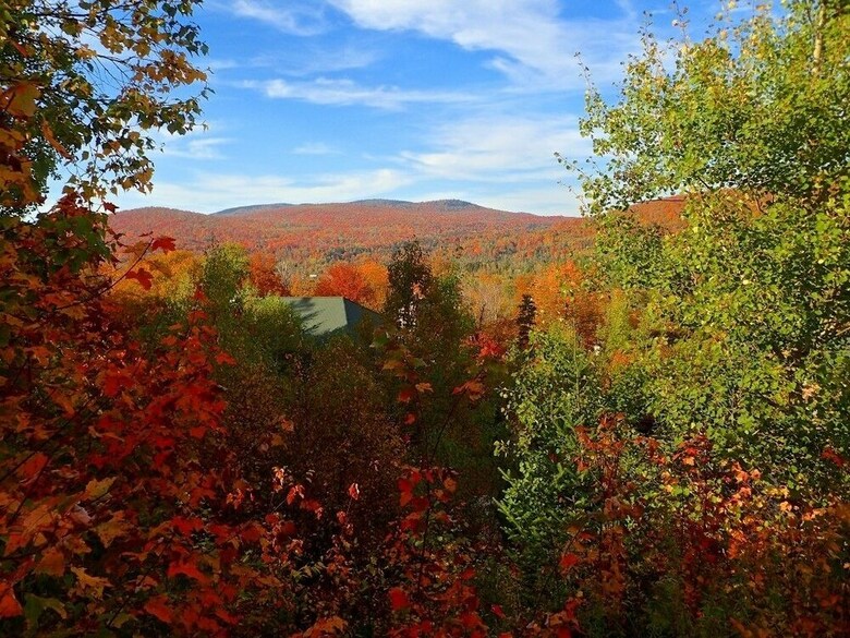 Slopeside Townhomes At Bretton Woods