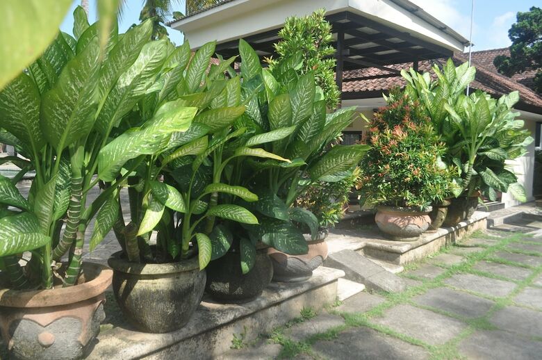 Dewi Sinta Hotel And Restaurant