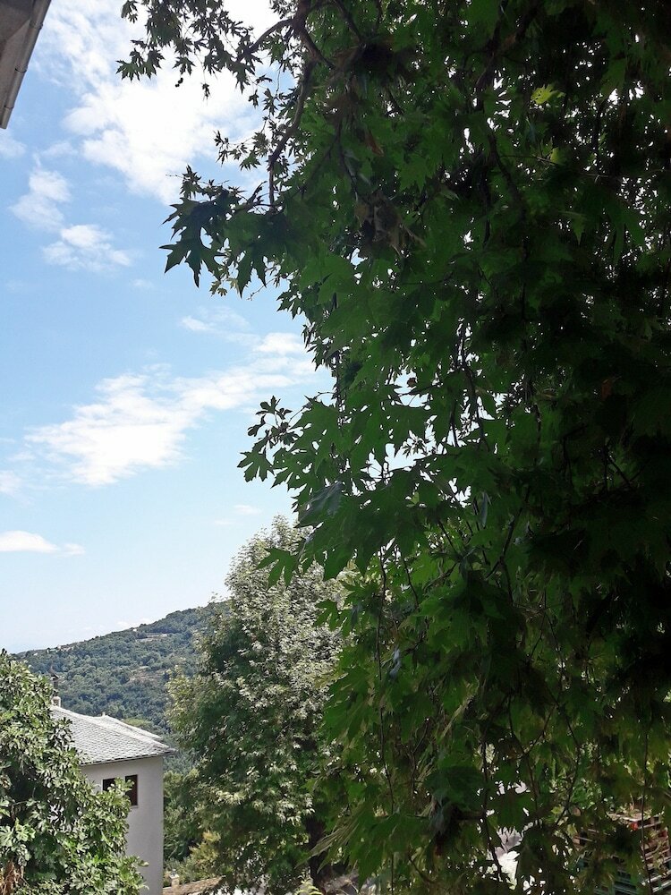 Hotel Guesthouse Filirea
