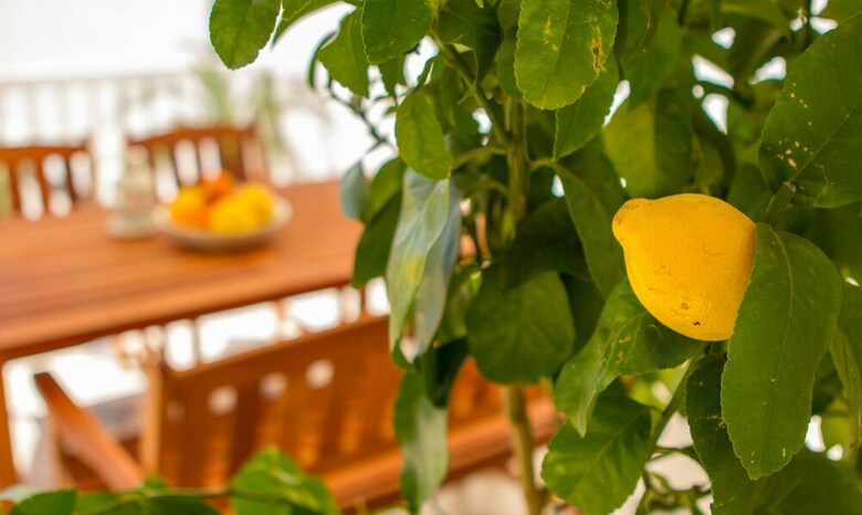 Apartamentos Bonkan