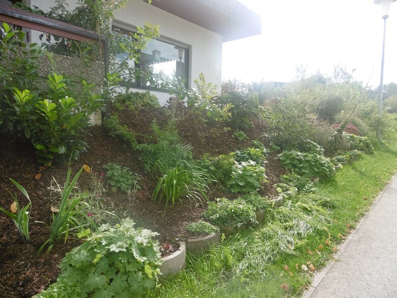 Pension Haus Hochwaldhoehe