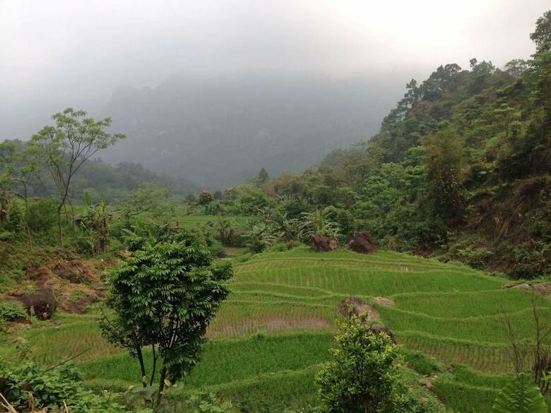 Hostal Linh Soi Homestay - Hostel