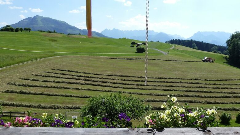 Stoibhof