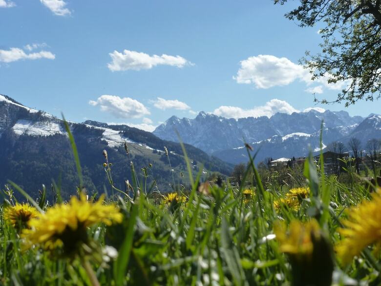 Stoibhof